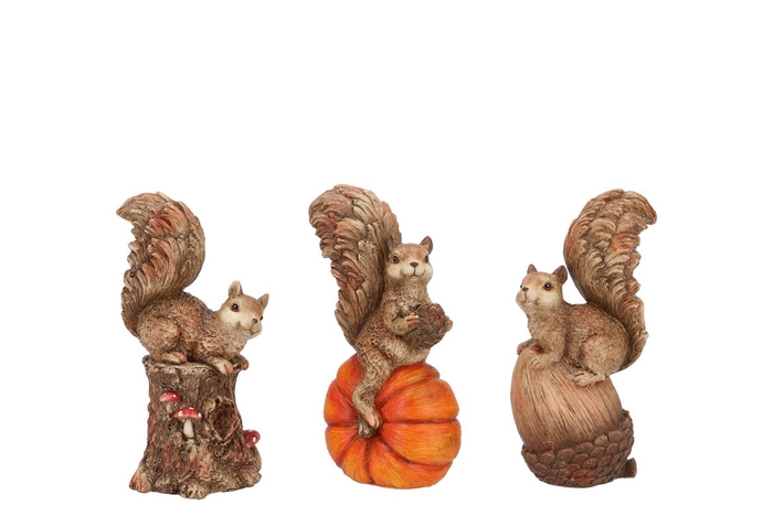 <h4>Wonderland Scottish Brown Squirrel Ass 13x8x22cm</h4>