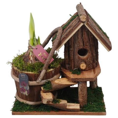 <h4>PTACH2532 Arrangementen Kerst</h4>