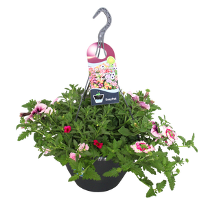 Hangpotten 27 waterreservoir mix 02 Roze mix