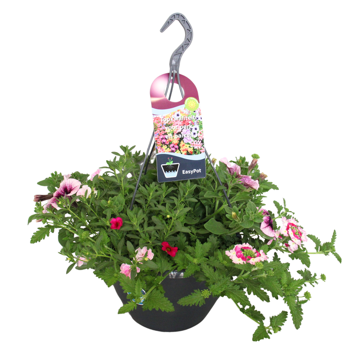 <h4>Hangpotten 27 waterreservoir mix 02 Roze mix</h4>