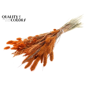 Dried Flower mix bunch Orange