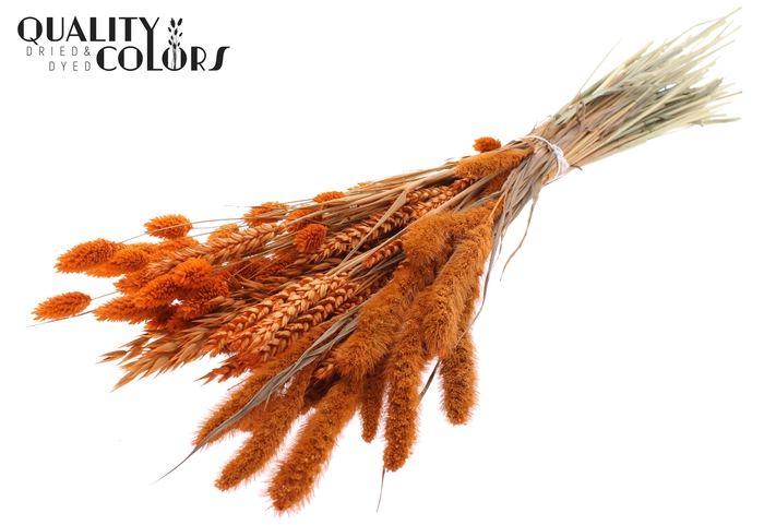 <h4>Dried Flower mix bunch Orange</h4>
