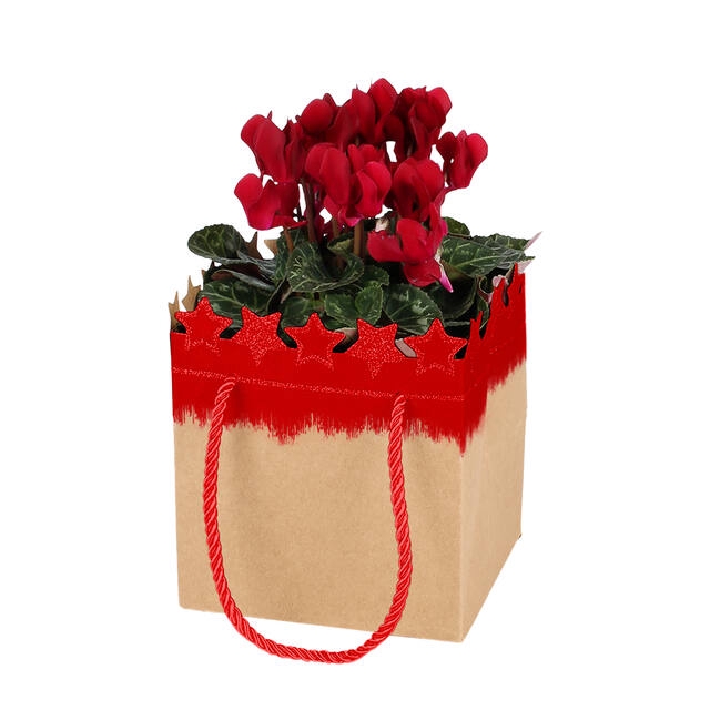 <h4>Bag Festive Stars cardboard 13x13xH15 red glitter 10/bag</h4>