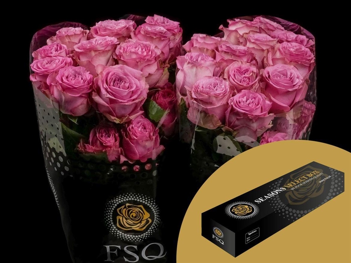 <h4>R GR Queens Crown Box</h4>