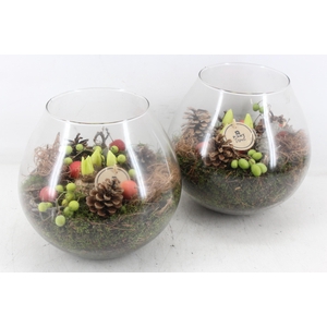 arr4 Hyacint PL - Glas bol XL x2
