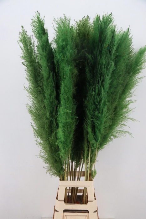 <h4>DROOGBL BEWERKT H%</h4>