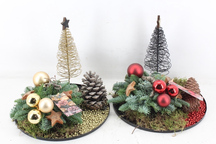 <h4>arr5 Kerst MB - Zink rand kerstboom mix</h4>