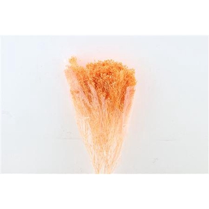 Dried Brooms Salmon Bunch