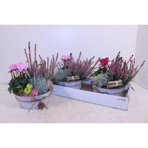 ARR GARDEN ZINC WHITE X2