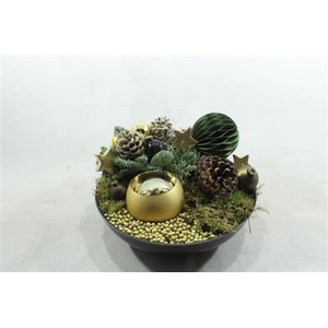 K375 GOUD SCHAAL XXL WAXINE