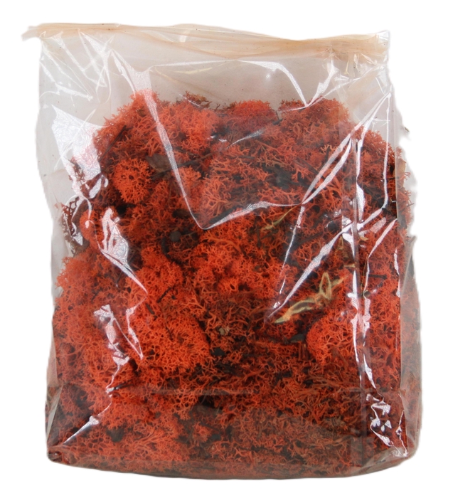 <h4>MOSSEN OV H%</h4>