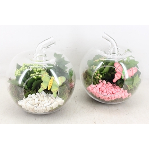 arr2 PL - Glazen appel 338/3 - roze/wit