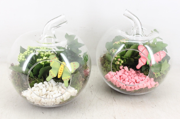 <h4>arr2 PL - Glazen appel 338/3 - roze/wit</h4>