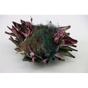 Dried Artz Cynara Heads Rubens