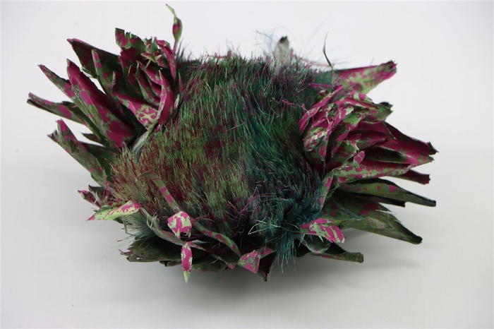 <h4>Dried Artz Cynara Heads Rubens</h4>