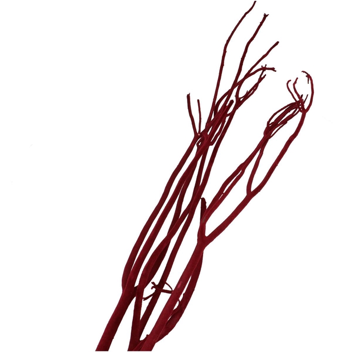 <h4>Dried articles Mitsumata flock 115cm x3</h4>