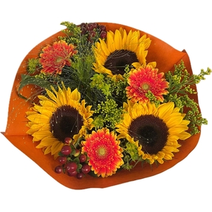 Bq Helianthus Hot M