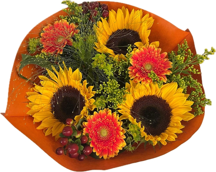 <h4>Bq Helianthus Hot M</h4>