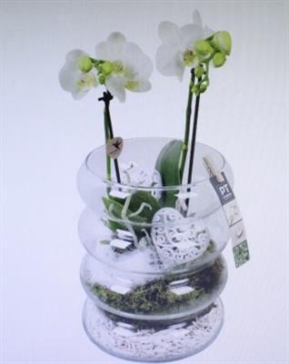 4994 RIBBELGLAS 2-TAK