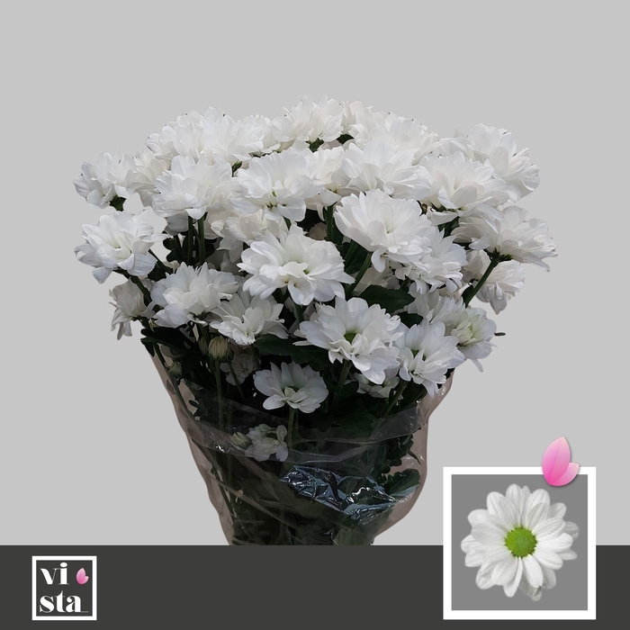 <h4>Chr T Kennedy</h4>