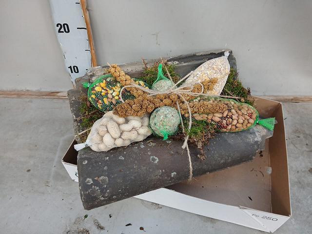 <h4>VOGELZ FIGUUR H%</h4>