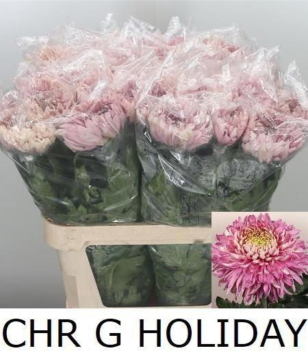 <h4>Chr G Holiday</h4>
