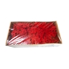 Moss iceland paint red