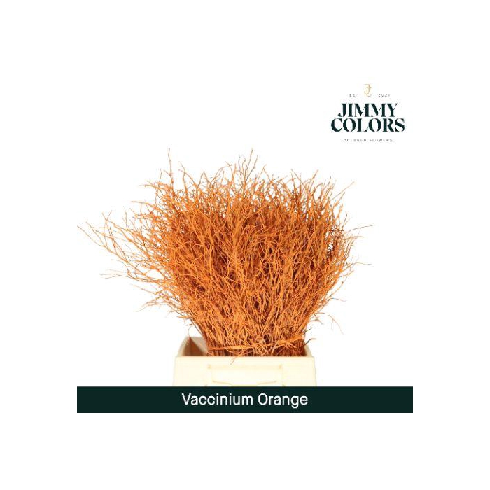 <h4>Vaccinium L50 Oranje</h4>