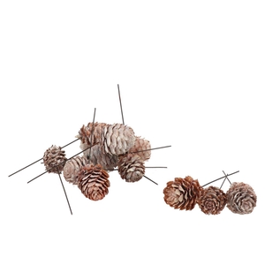 Pick Leuc Decorum O/dr Stonewash P/45 2022
