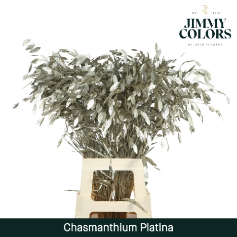 Chasmanthium L70 Mtlc. Platina