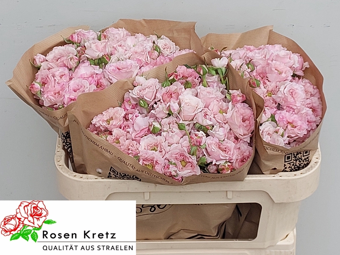 <h4>R TR RESIDENCE!</h4>