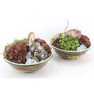 arr4 Semp PL - Ker. luxe groen schaal 402/2