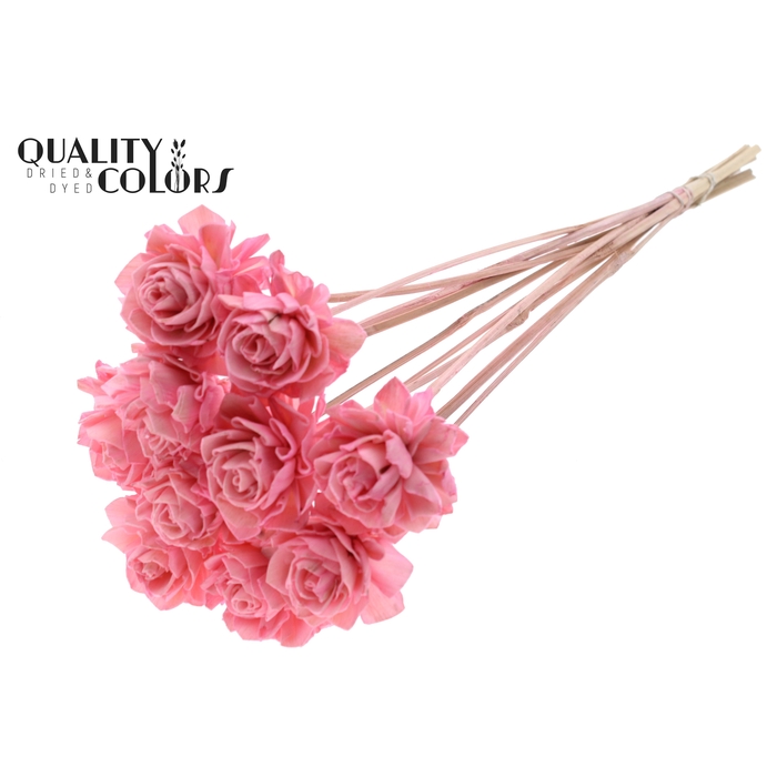 <h4>Shola Dahlia 6cm on stem Light Pink</h4>