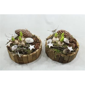 H250 X2 LATTEN ROND HYAC