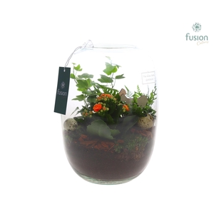 Green Bottle Isabella Large Pasen met arrangement