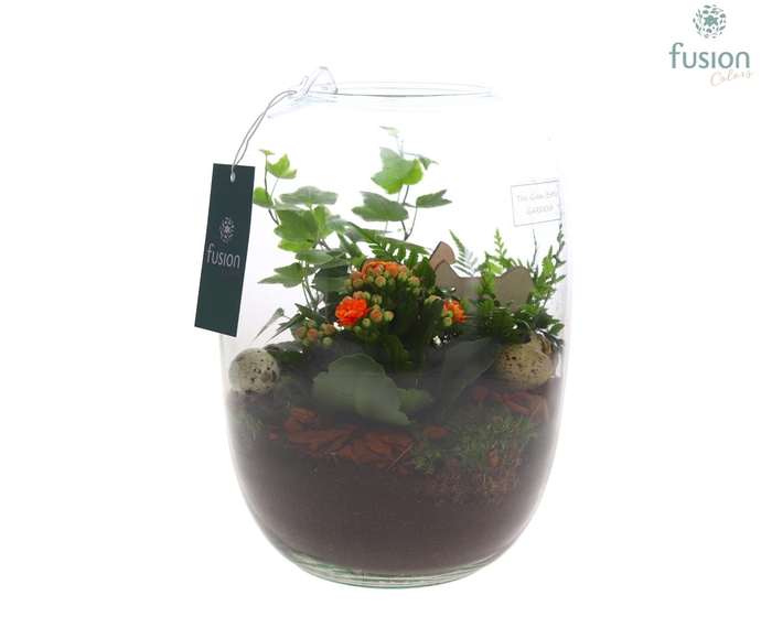 <h4>Green Bottle Isabella Large Pasen met arrangement</h4>