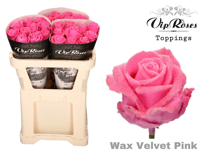 <h4>R GR WAX VELVET PINK 998</h4>