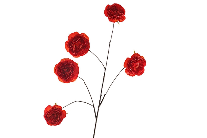 <h4>Cabbage Rosa Spray Orange FL440167ORA</h4>
