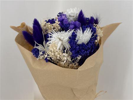 Dr Bqt Bleach Small Purple