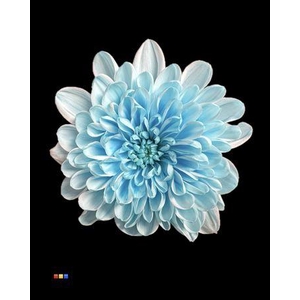 Chr T Altaj Pastel Blue