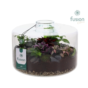 Green Bottle Kyra XLarge met arrangement