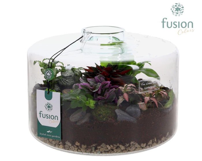 <h4>Green Bottle Kyra XLarge met arrangement</h4>