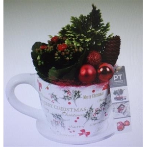 7290 ROOD KOP/SCHOTEL