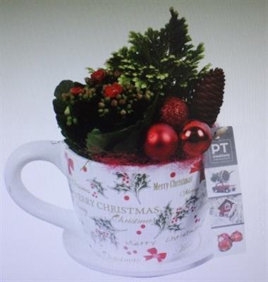 <h4>7290 ROOD KOP/SCHOTEL</h4>