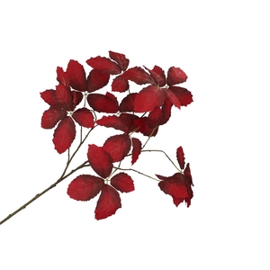 Silk Leaf Chestnut Dark Red 135cm