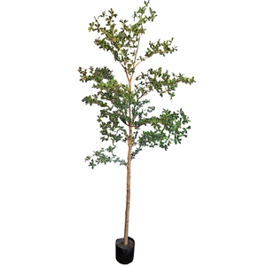 Olive Tree Oriental Pot PP550039GRN