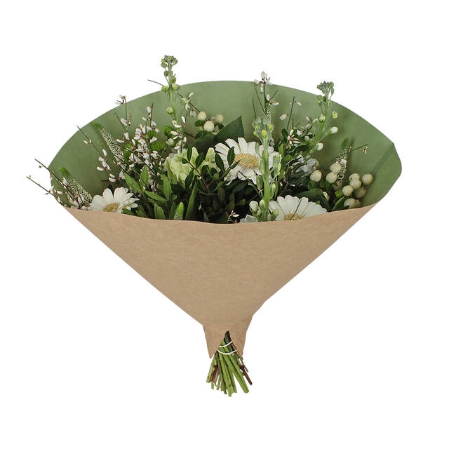 <h4>Hoes 35x35cm Angelo 70gr br kraft inside mistygroen 500/ds</h4>