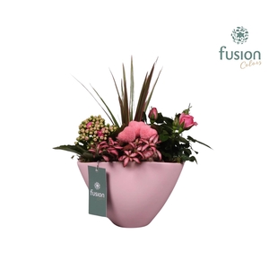 Keramiek pot ovaal roze met lovearrangement