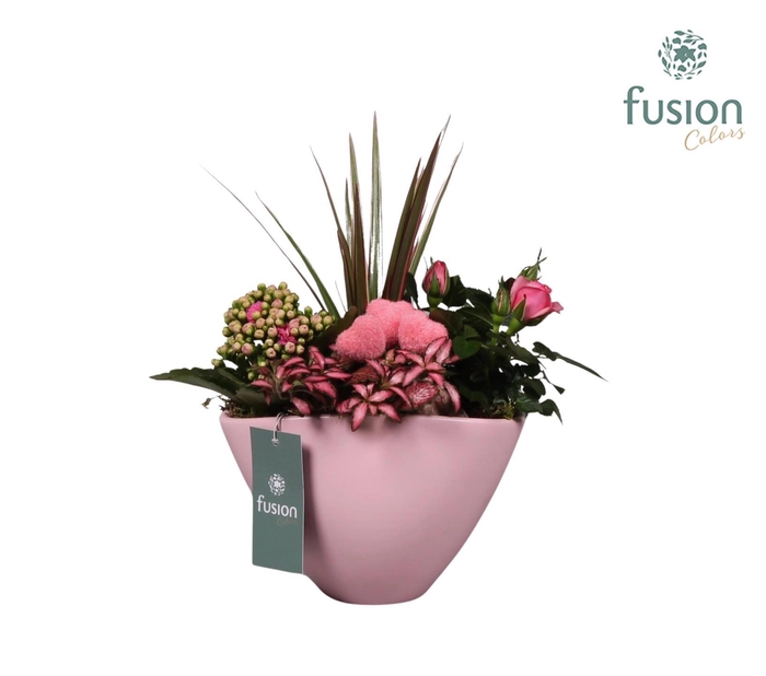 <h4>Keramiek pot ovaal roze met lovearrangement</h4>