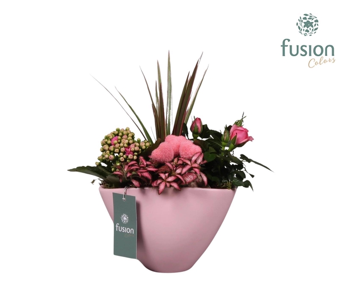 <h4>Keramiek pot ovaal roze met lovearrangement</h4>